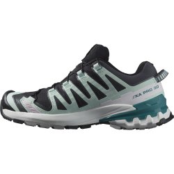 Кросівки Salomon Xa Pro 3D V9 GTX W - чорні/ блакитні