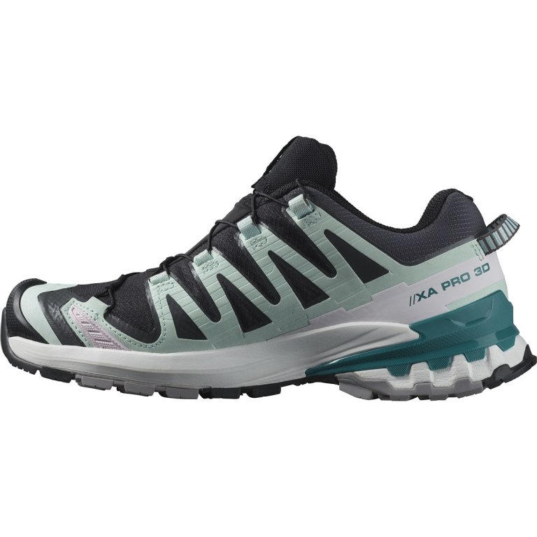 Кросівки Salomon Xa Pro 3D V9 GTX W - чорні/ блакитні