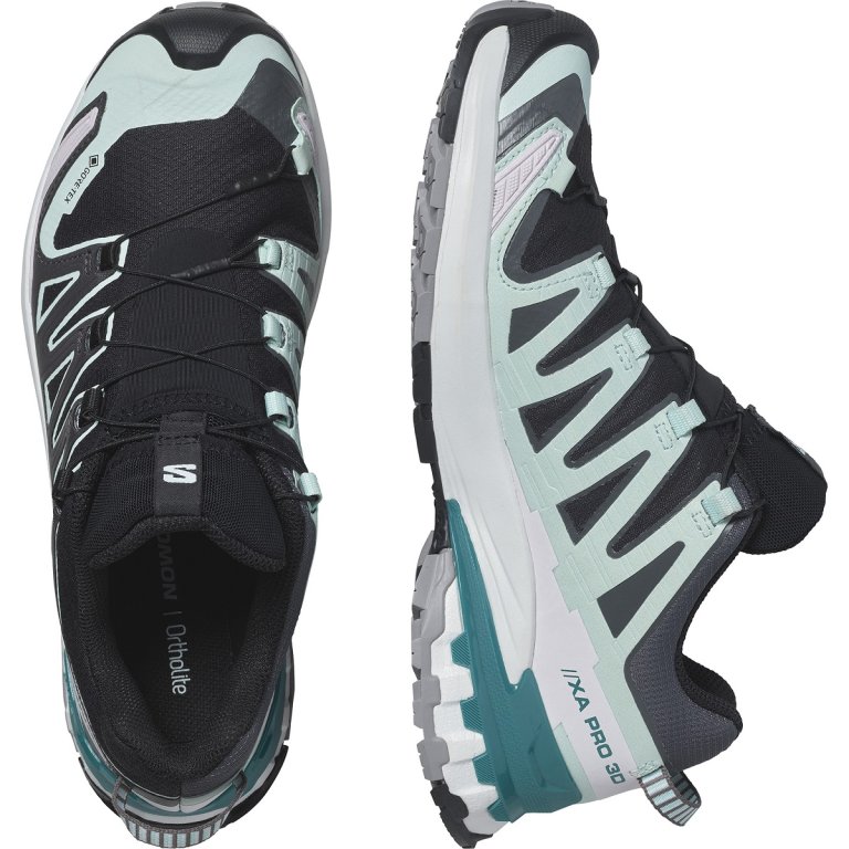 Кросівки Salomon Xa Pro 3D V9 GTX W - чорні/ блакитні