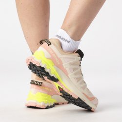 Кросівки Salomon Xa Pro 3D V9 GTX W - бежеві/ рожеві/ жовті