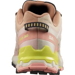 Кросівки Salomon Xa Pro 3D V9 GTX W - бежеві/ рожеві/ жовті