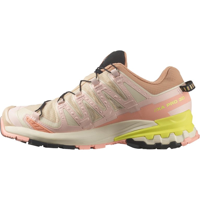 Кросівки Salomon Xa Pro 3D V9 GTX W - бежеві/ рожеві/ жовті