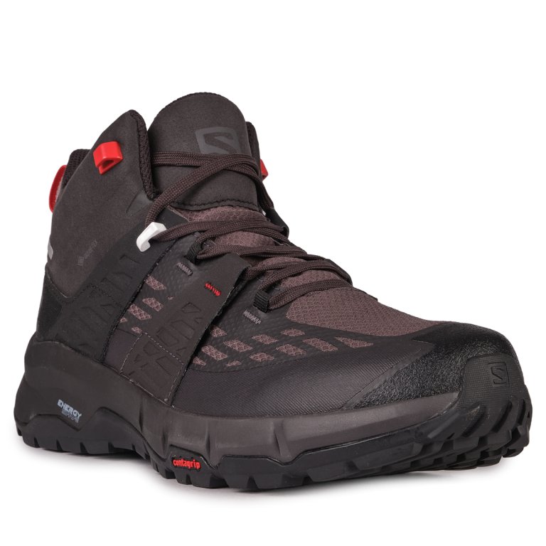 Взуття Salomon ODYSSEY MID GTX M - чорний/сірий