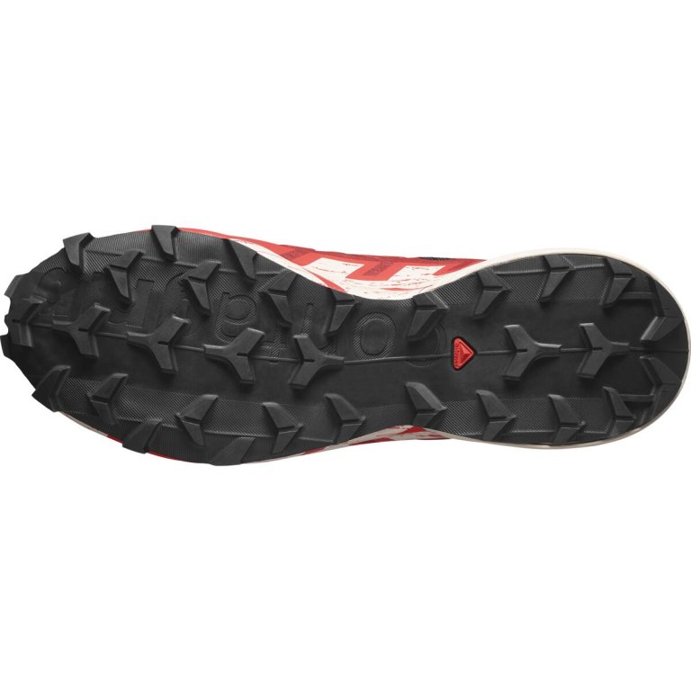 Кросівки Salomon Speedcross 6 GTX M - червоні/ чорні / сірі
