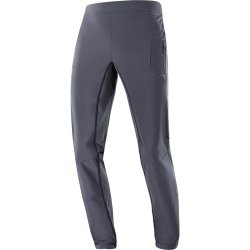 Штани Salomon Cross Warm Softshell Pant M - сірі