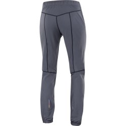 Штани Salomon Cross Warm Softshell Pant M - сірі