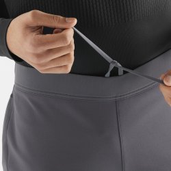 Штани Salomon Cross Warm Softshell Pant M - сірі