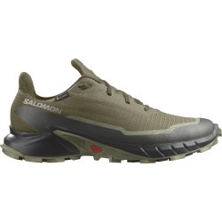 Obuv Salomon Alphacross 5 GTX M - zelená