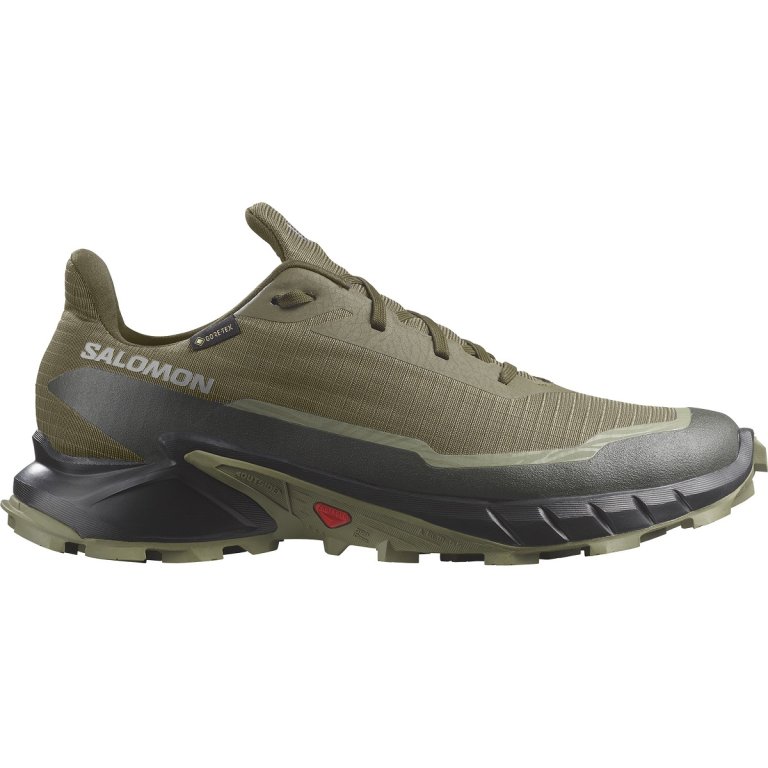 Obuv Salomon Alphacross 5 GTX M - zelená