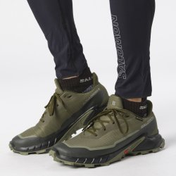 Obuv Salomon Alphacross 5 GTX M - zelená