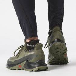 Obuv Salomon Alphacross 5 GTX M - zelená