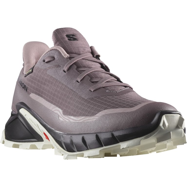 Кросівки Salomon Alphacross 5 GTX W - фіолетові/ чорні