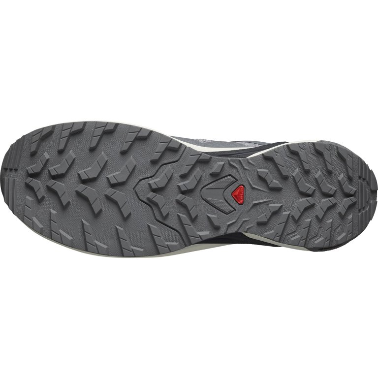 Кросівки Salomon X-Adventure GTX M - сірі/ чорні