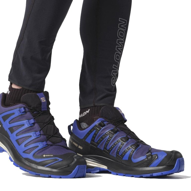 Кросівки Salomon Xa Pro 3D V9 GTX M - темно-сині/чорні
