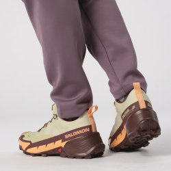 Взуття Salomon Cross Hike GTX 2 W - жовті/коричневі