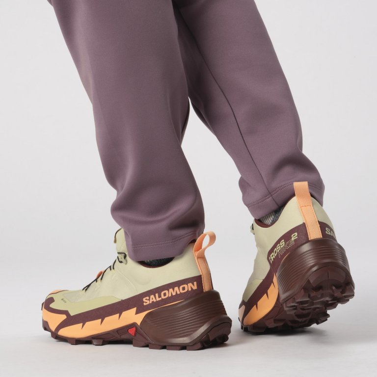 Взуття Salomon Cross Hike GTX 2 W - жовті/коричневі