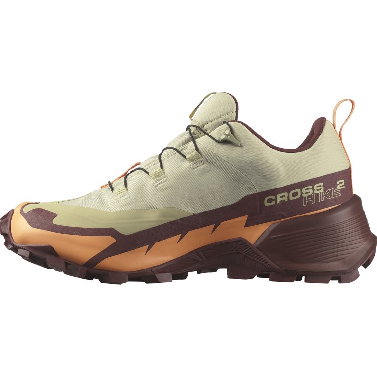 Взуття Salomon Cross Hike GTX 2 W - жовті/коричневі