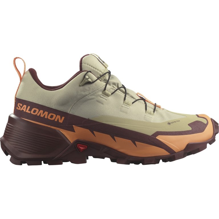 Взуття Salomon Cross Hike GTX 2 W - жовті/коричневі