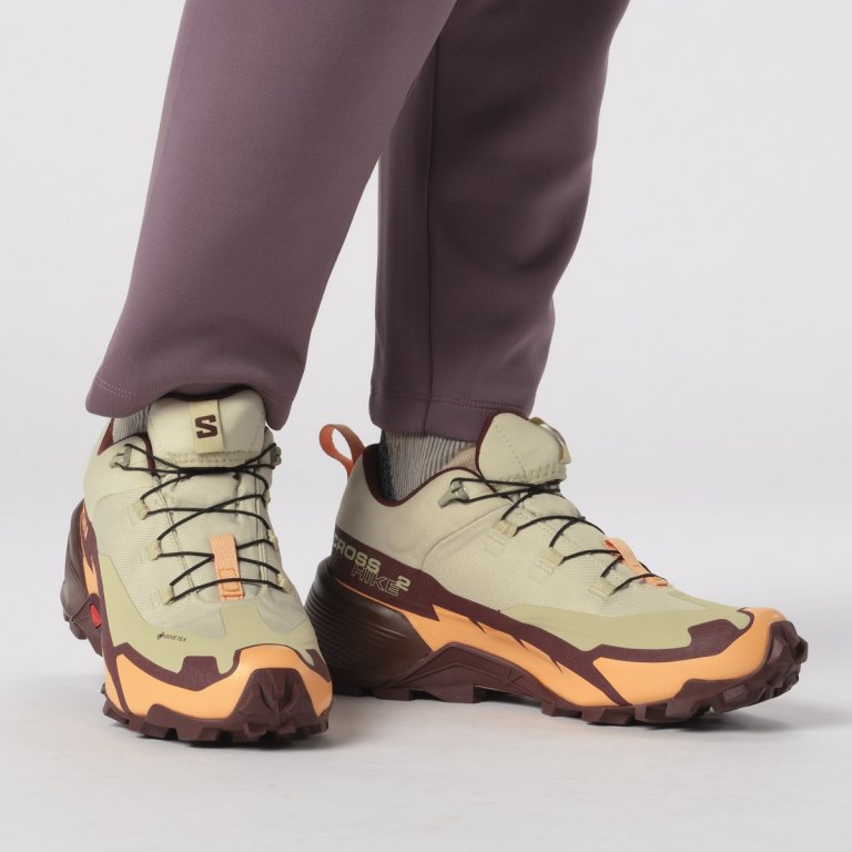 Взуття Salomon Cross Hike GTX 2 W - жовті/коричневі