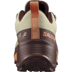 Взуття Salomon Cross Hike GTX 2 W - жовті/коричневі