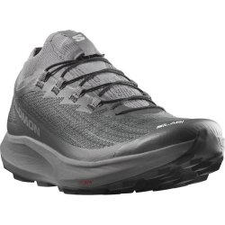 Кросівки Salomon S/LAB Pulsar 2 SG - сірі