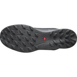Кросівки Salomon S/LAB Pulsar 2 SG - сірі