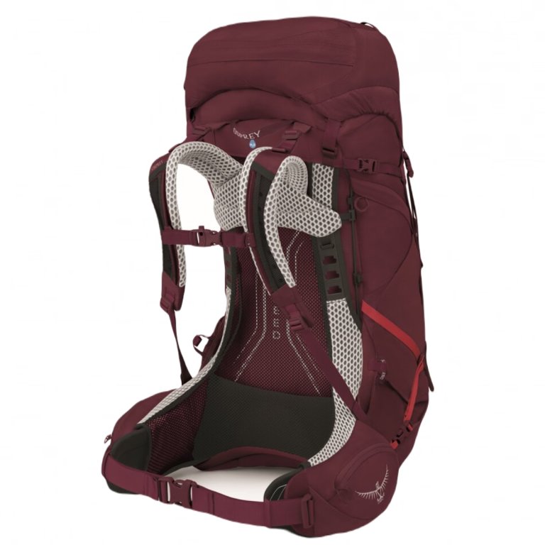 Рюкзак Osprey Aura AG LT 65 W - фіолетовий