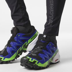 Кросівки Salomon Spikecross 6 GTX - чорні / сині / зелені
