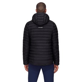 1013-01781-0001_mod-back