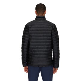 1013-01801-0001_mod-back