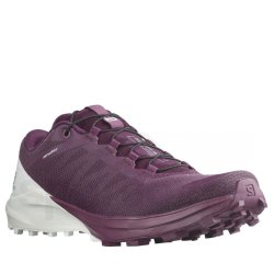 Взуття Salomon SENSE 4 PRO W - бордовий