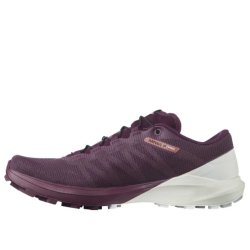 Взуття Salomon SENSE 4 PRO W - бордовий