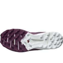 Взуття Salomon SENSE 4 PRO W - бордовий
