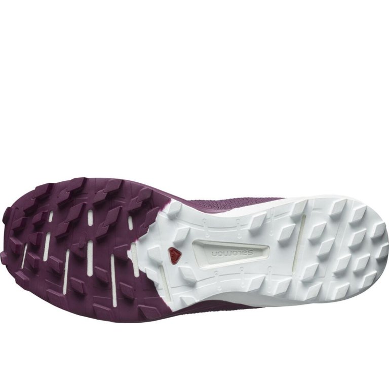 Взуття Salomon SENSE 4 PRO W - бордовий