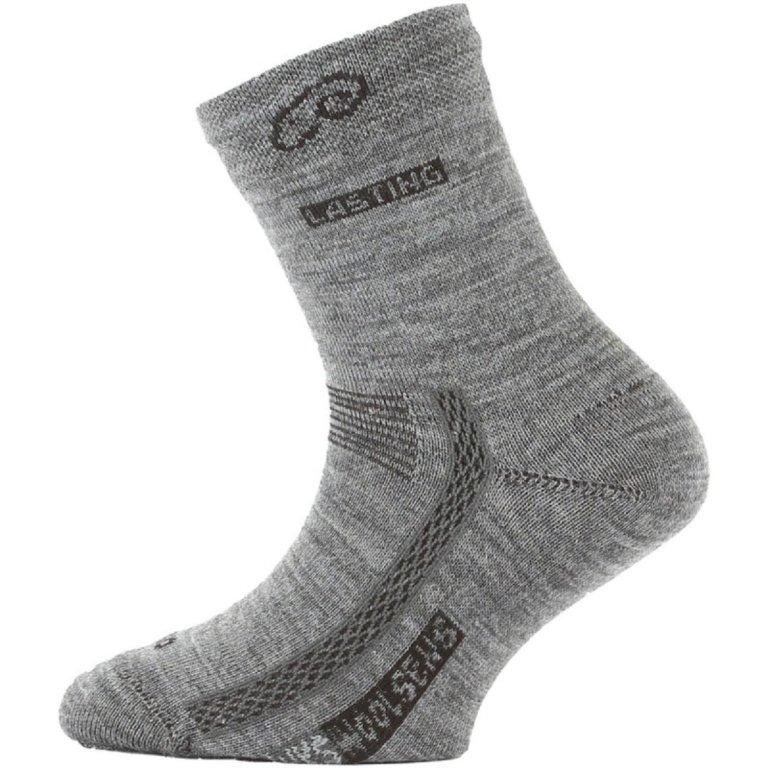 Шкарпетки Lasting TJS J - сірі
