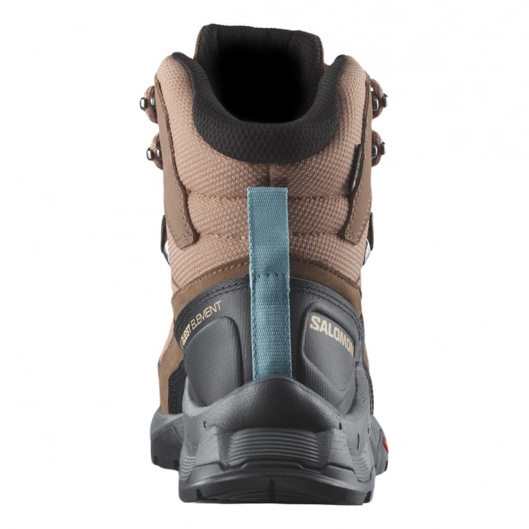Взуття Salomon Quest Element GTX W - коричневе / бежеве