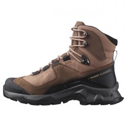 Взуття Salomon Quest Element GTX W - коричневе / бежеве