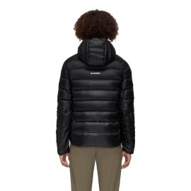 1013-02700-0001_mod-back