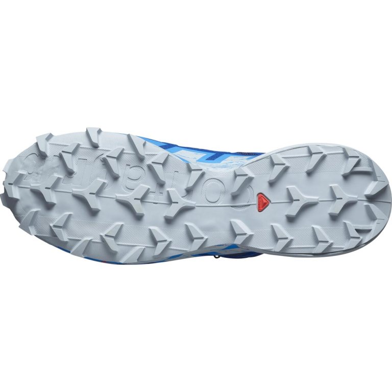 Кросівки Salomon Speedcross 6 GTX M - сині