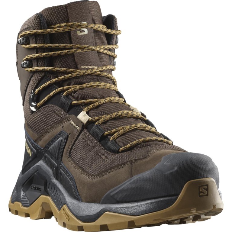 Взуття Salomon Quest Element GTX M - коричневі / чорні