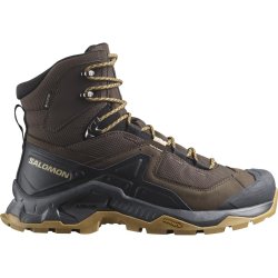 Взуття Salomon Quest Element GTX M - коричневі / чорні