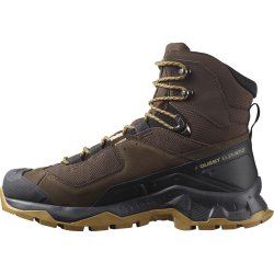 Взуття Salomon Quest Element GTX M - коричневі / чорні
