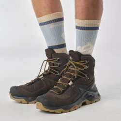 Взуття Salomon Quest Element GTX M - коричневі / чорні