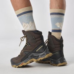 Взуття Salomon Quest Element GTX M - коричневі / чорні