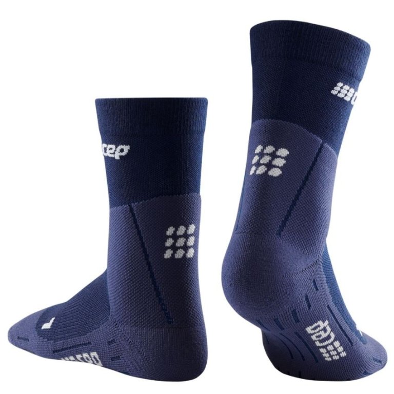 Шкарпетки CEP Cold Weather Socks M - сині