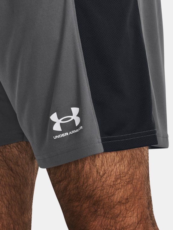 Шорти Under Armour UA M's Ch. M - сірі
