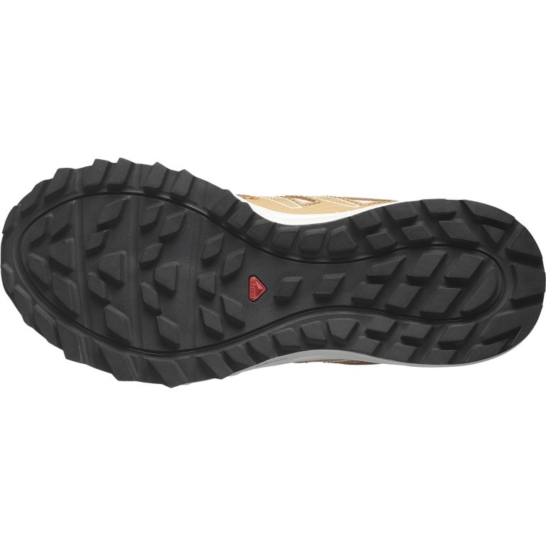 Кросівки Salomon Wander W - бежеві / коричневі / рожеві
