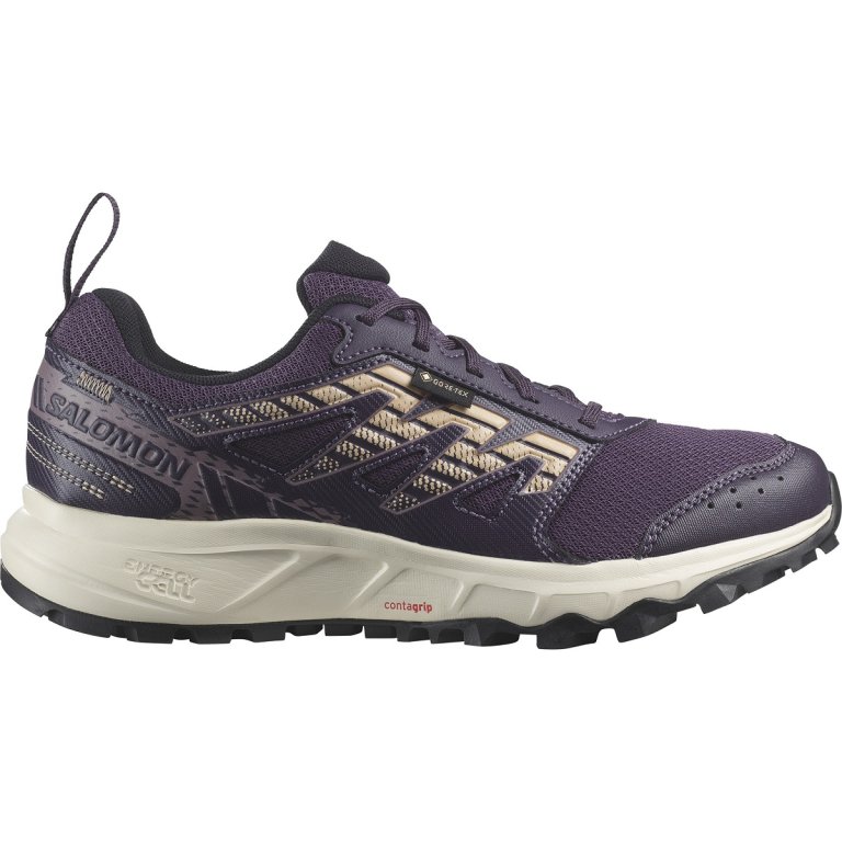 Кросівки Salomon Wander GTX W - фіолетовий