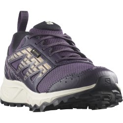 Кросівки Salomon Wander GTX W - фіолетовий