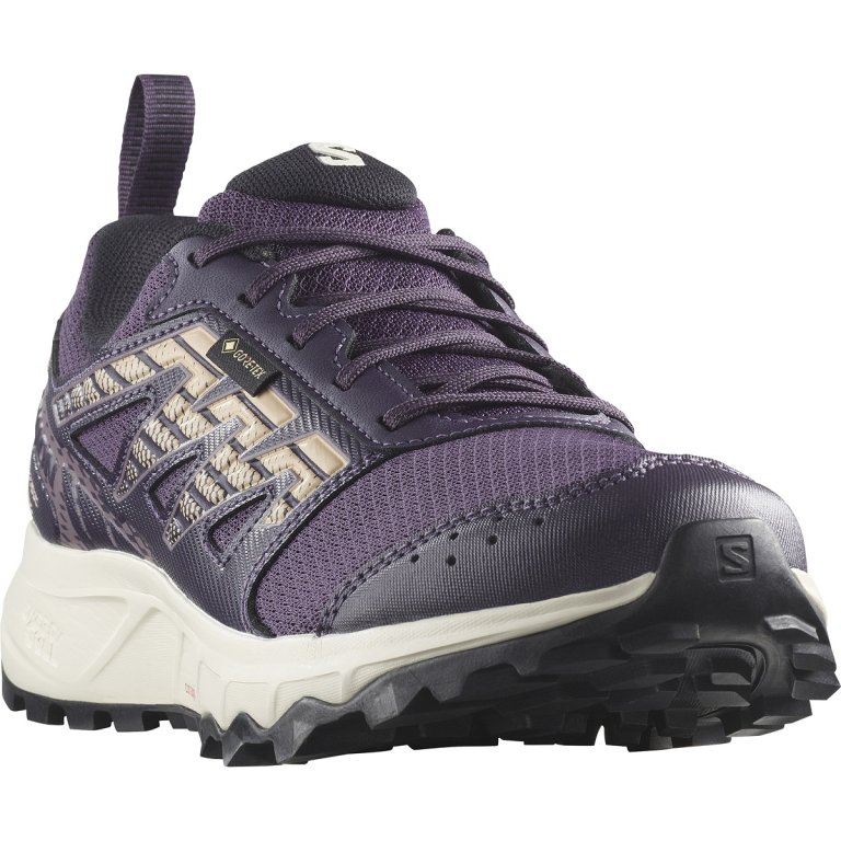 Кросівки Salomon Wander GTX W - фіолетовий